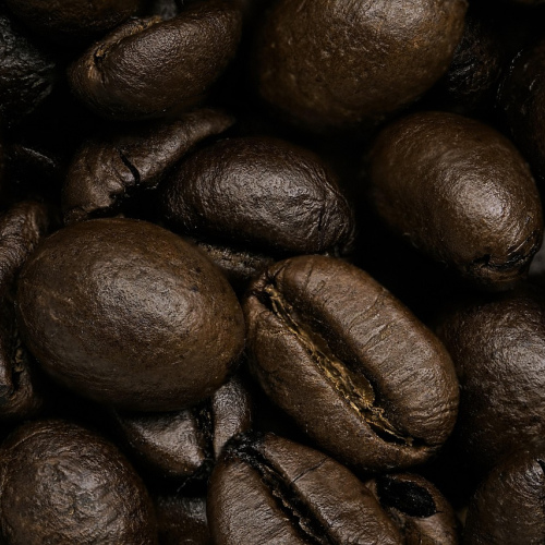 Organic Arabica Coffee Beans